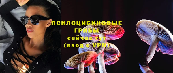 бошки Иннополис