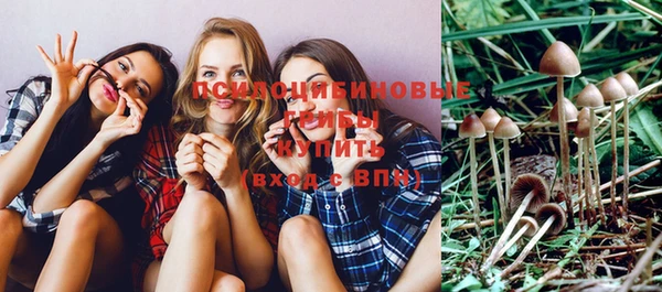 бошки Иннополис