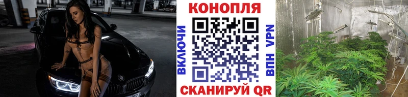 МАРИХУАНА ГИДРОПОН  Купить  Болхов 